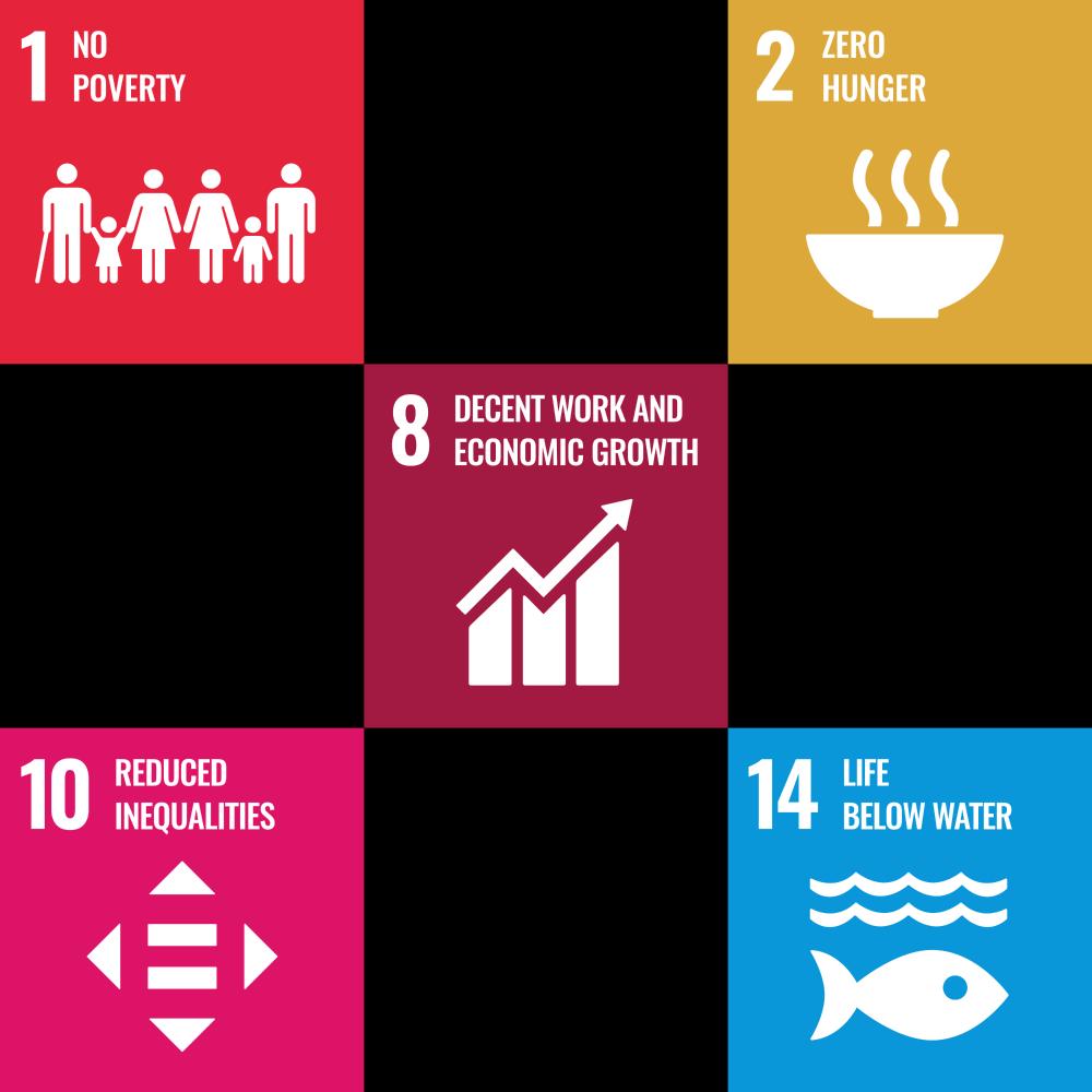Sustainability Goals
