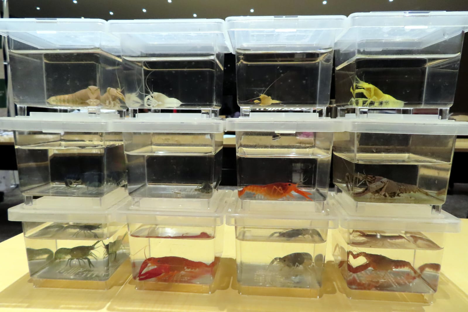  Modular Hatchery Solutions