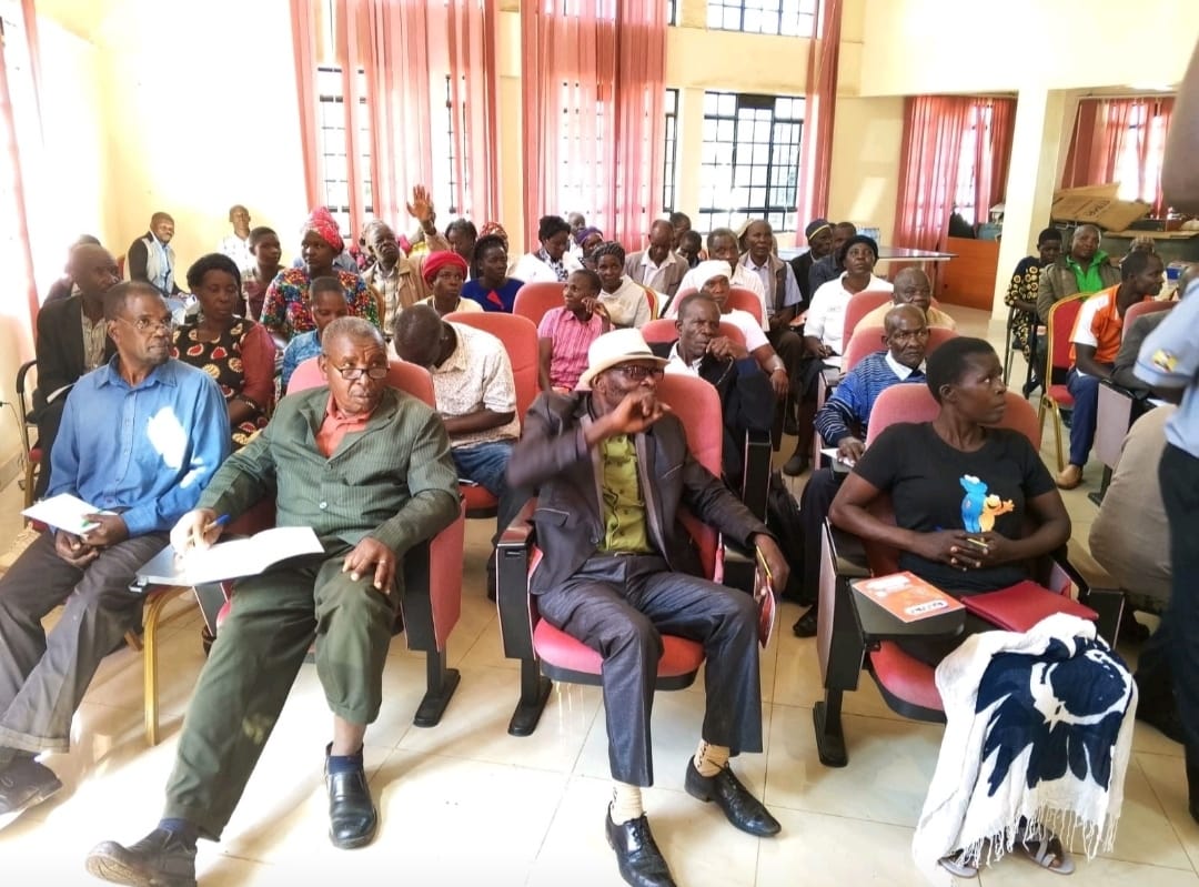 Consultancy,Training and Mentorship